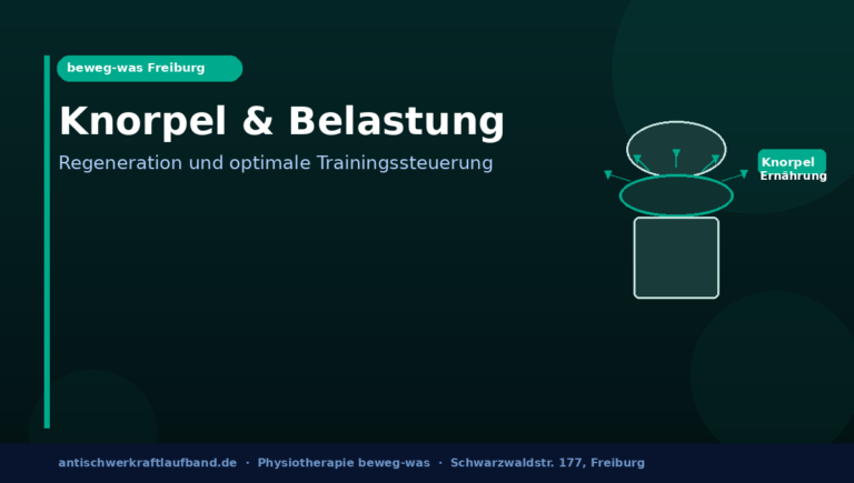 Knorpel und Belastung: Was die Forschung über Regeneration und optimale Trainingssteuerung weiß