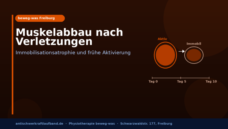Muskelabbau nach Verletzungen: Was die Forschung über Immobilisationsatrophie und frühe Aktivierung zeigt